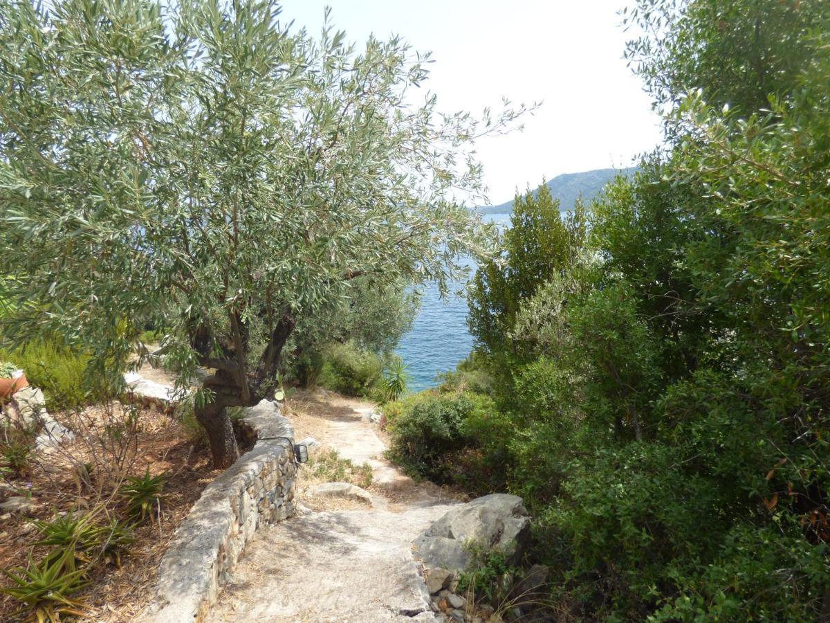 Appartamento Odyssia Near The Seaside Agios Petros  Esterno foto