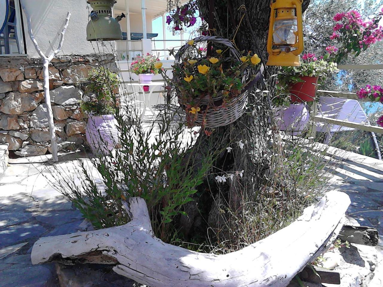 Appartamento Odyssia Near The Seaside Agios Petros  Esterno foto