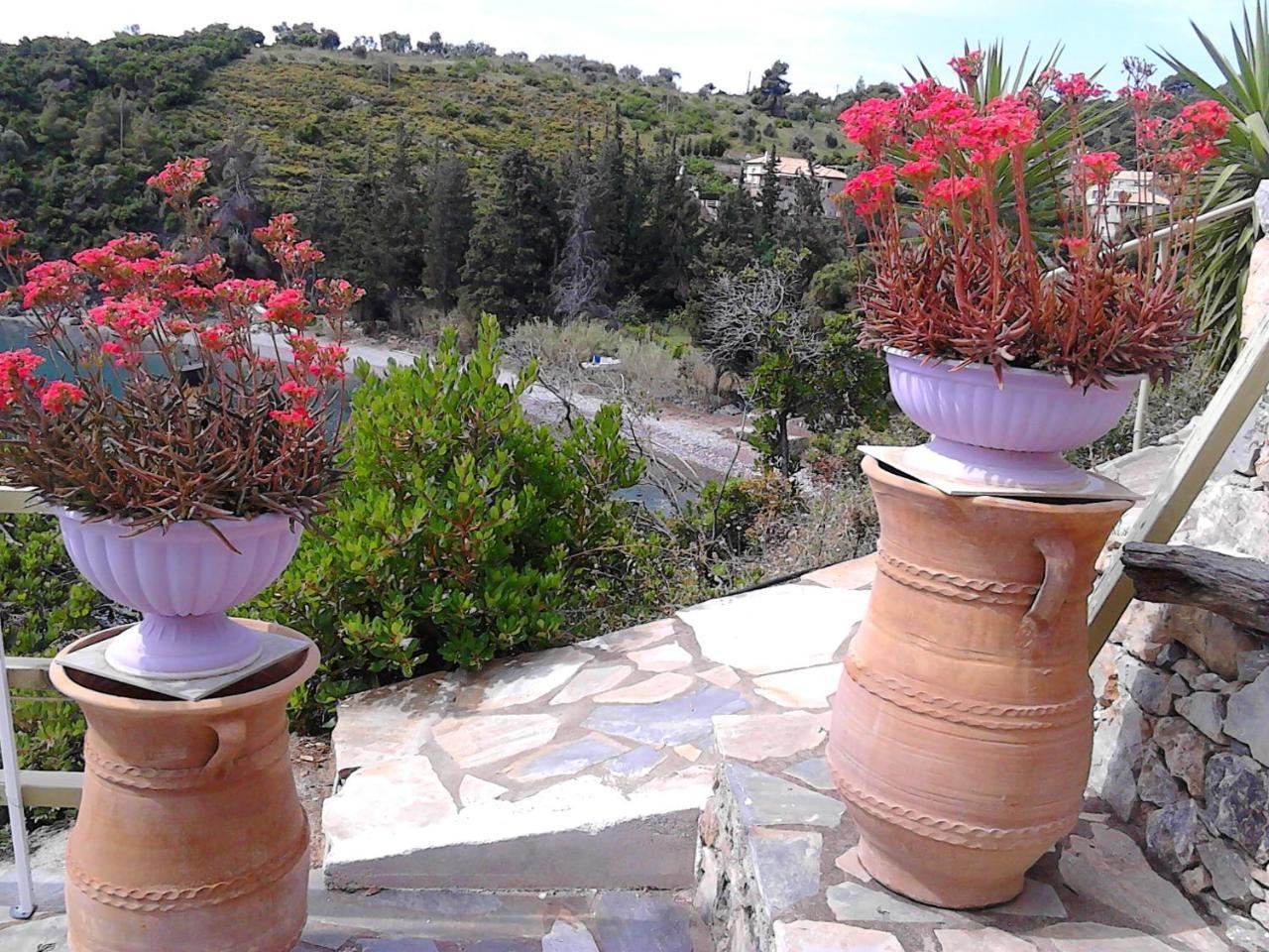 Appartamento Odyssia Near The Seaside Agios Petros  Esterno foto